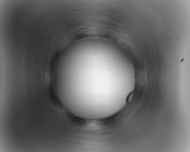 X0000089680226200707051612