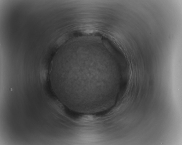 X0000089680227200707051612