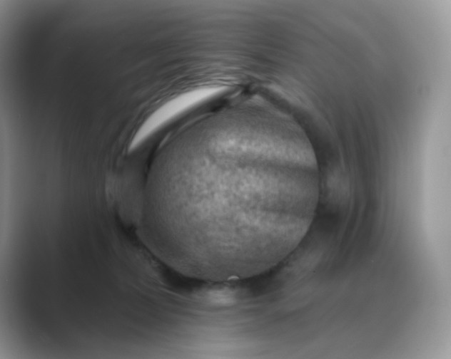 X0000089680228200707051612