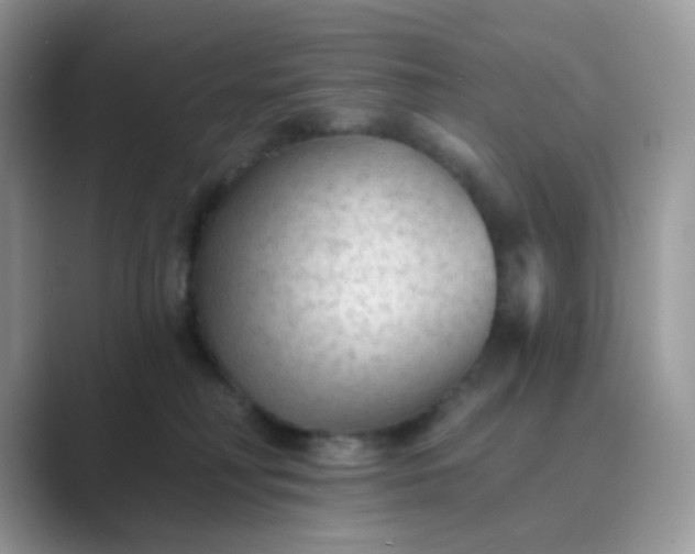 X0000089680230200707051612