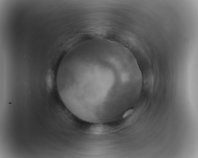 X0000089680231200707051612