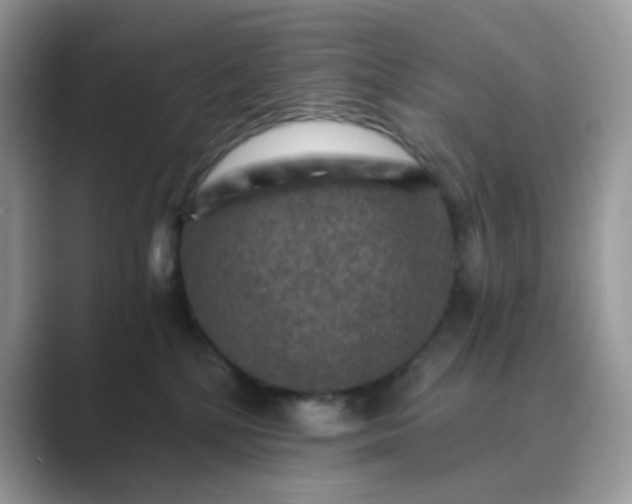 X0000089680232200707051612