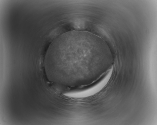 X0000089680233200707051612