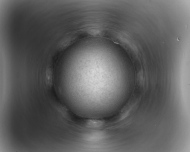 X0000089680234200707051612