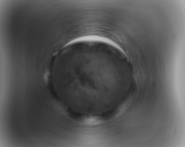 X0000089680235200707051612