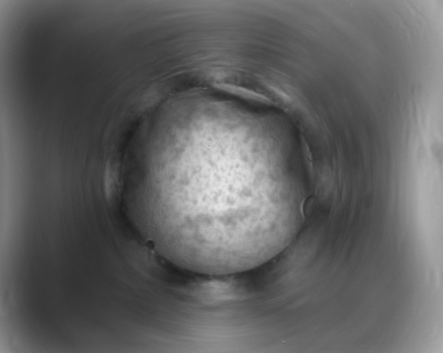 X0000089680236200707051612