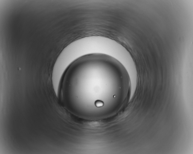 X0000089680237200707051612