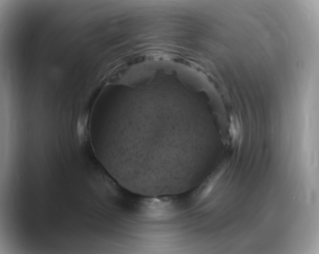 X0000089680239200707051612
