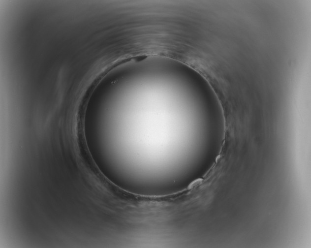 X0000089680242200707051612