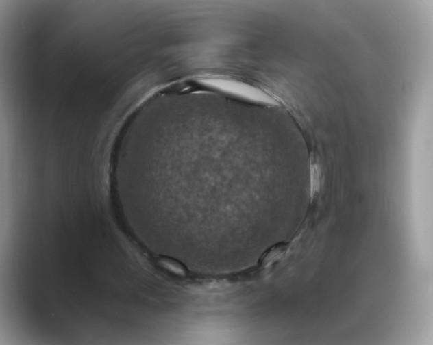X0000089680243200707051612