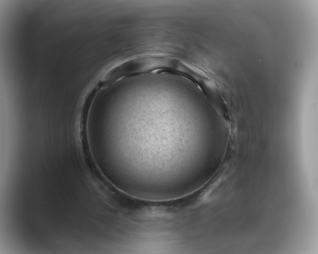 X0000089680244200707051612