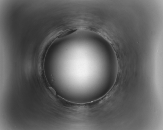 X0000089680245200707051612