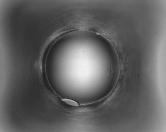X0000089680246200707051612