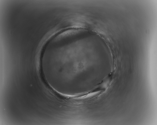 X0000089680247200707051612