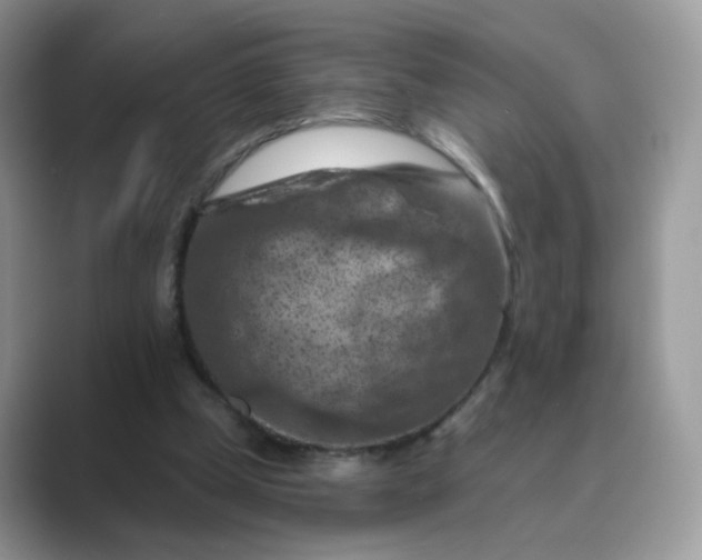 X0000089680249200707051612
