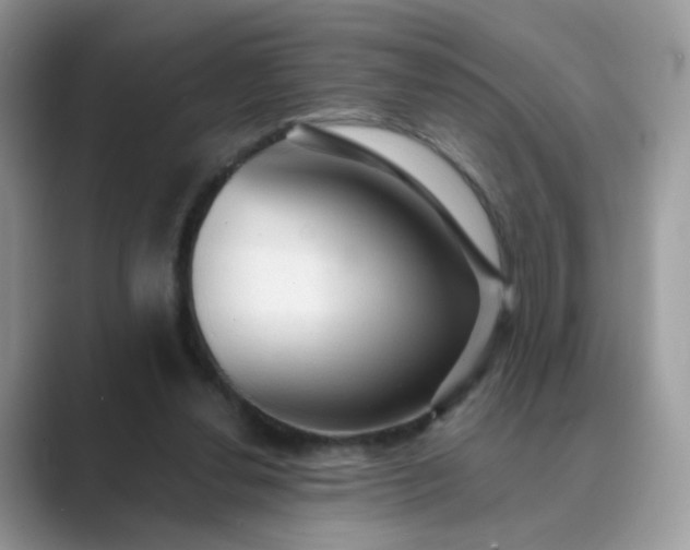 X0000089680252200707051612