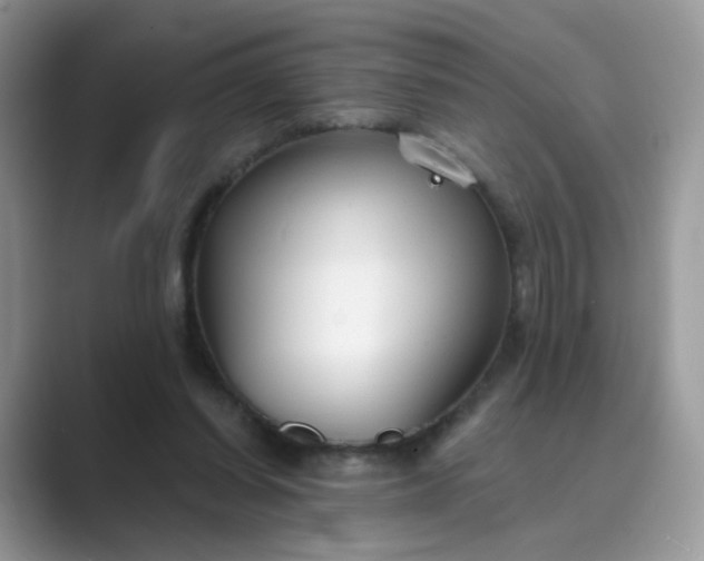 X0000089680254200707051612