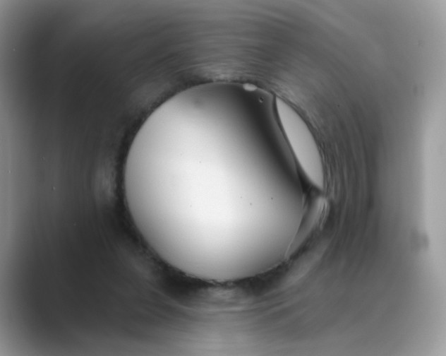 X0000089680255200707051612