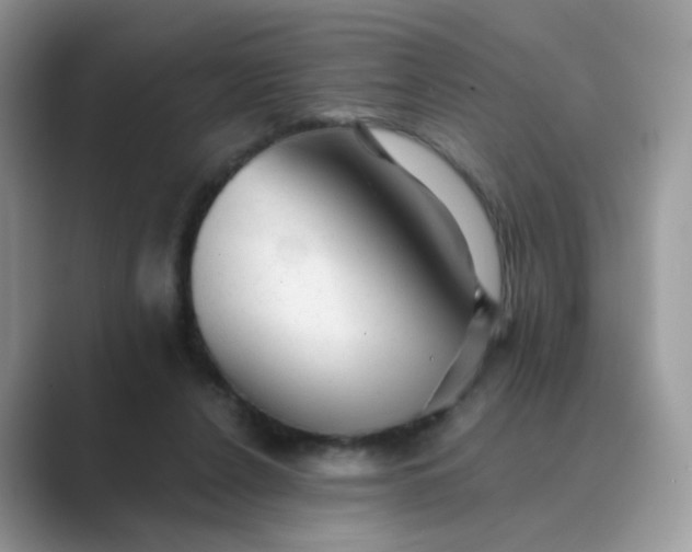 X0000089680256200707051612