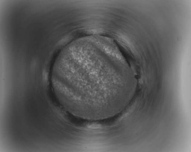 X0000089680258200707051612