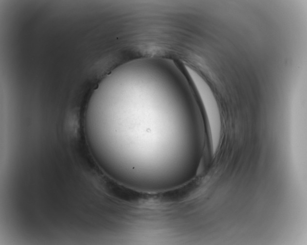 X0000089680259200707051612