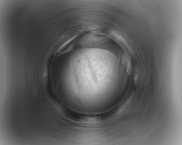 X0000089680260200707051612
