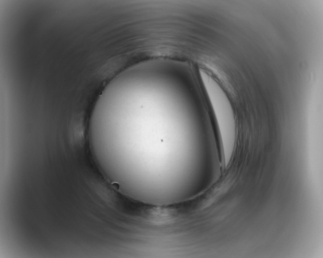 X0000089680261200707051612