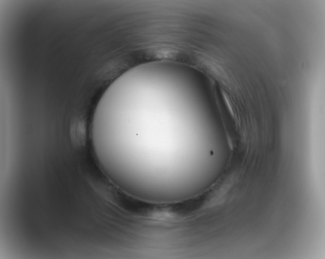 X0000089680262200707051612