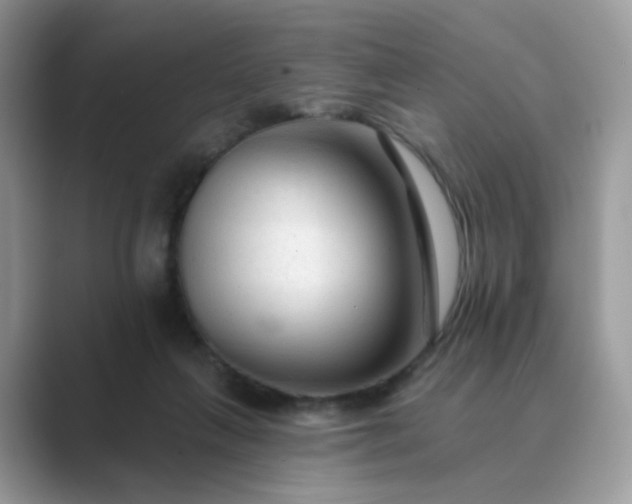 X0000089680263200707051612