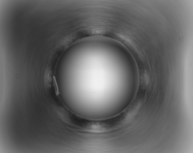 X0000089680264200707051612