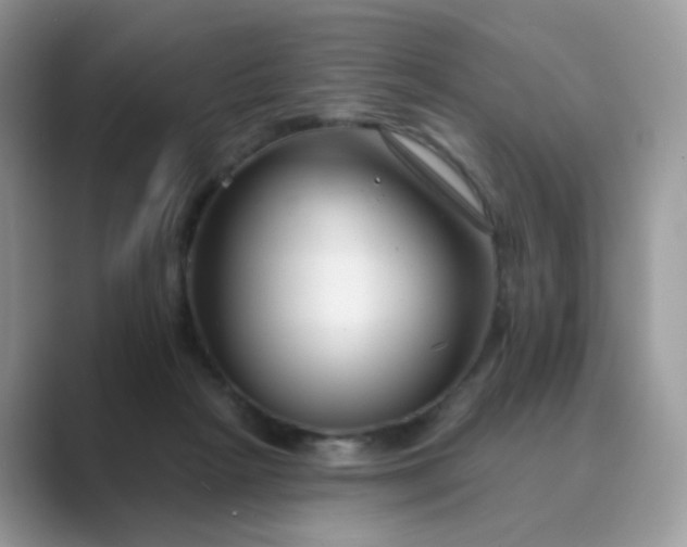 X0000089680265200707051612