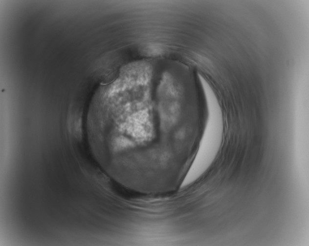 X0000089680267200707051612