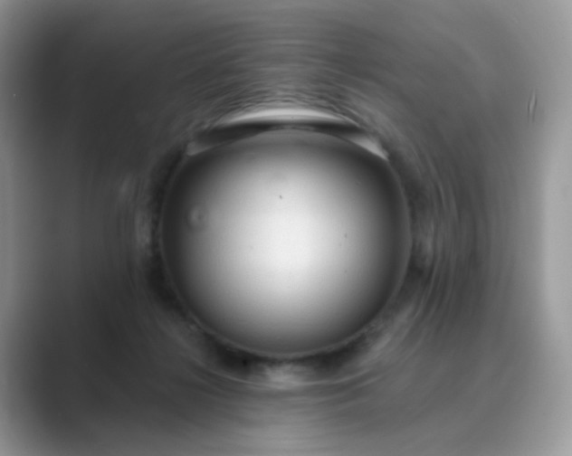 X0000089680268200707051612