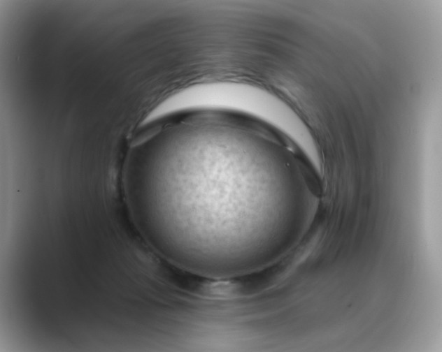 X0000089680269200707051612