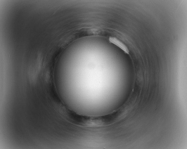 X0000089680270200707051612