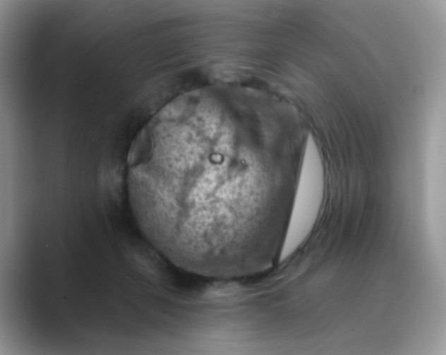 X0000089680271200707051612