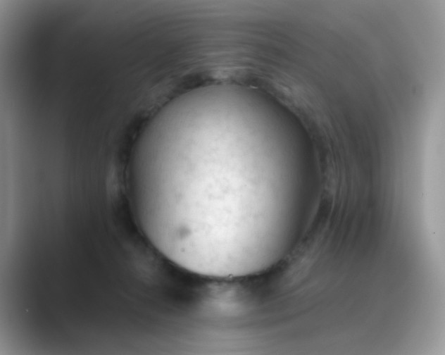 X0000089680272200707051612