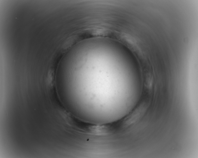 X0000089680273200707051612