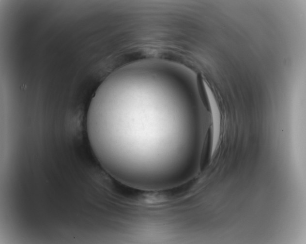X0000089680275200707051612