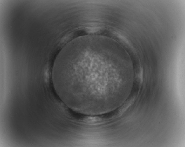 X0000089680277200707051612