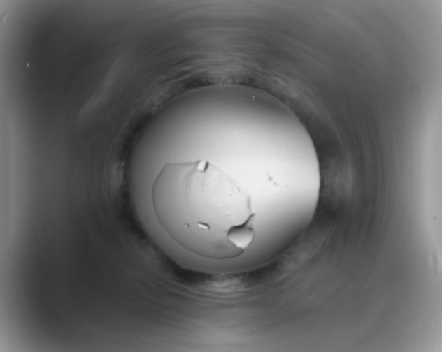 X0000089680278200707051612