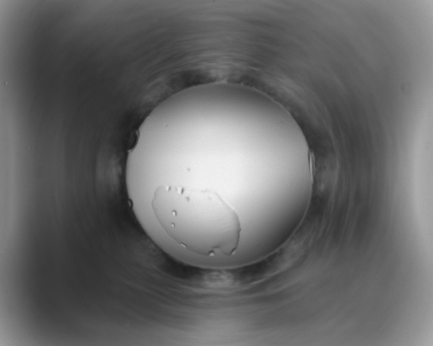 X0000089680279200707051612