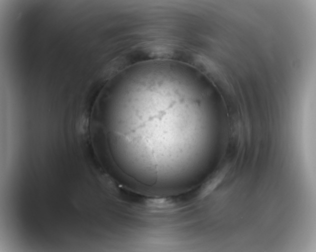 X0000089680281200707051612