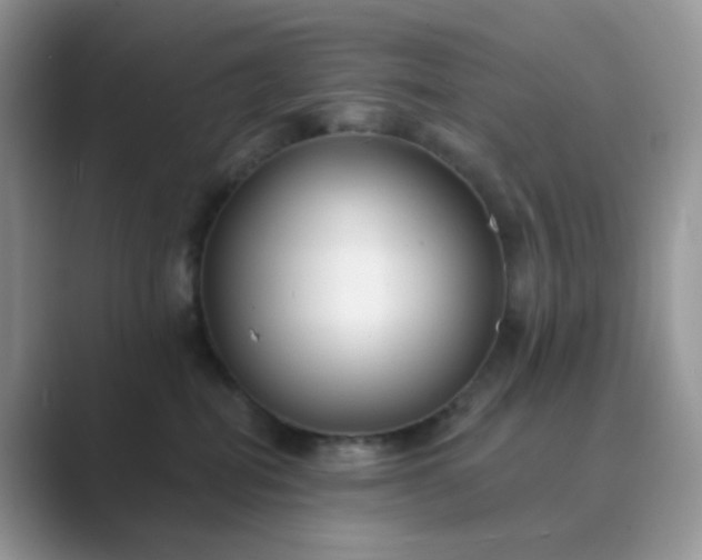 X0000089680282200707051612