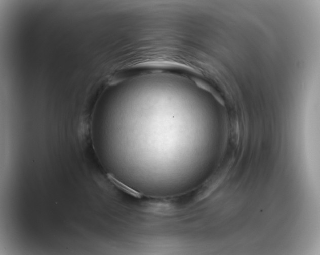 X0000089680284200707051612