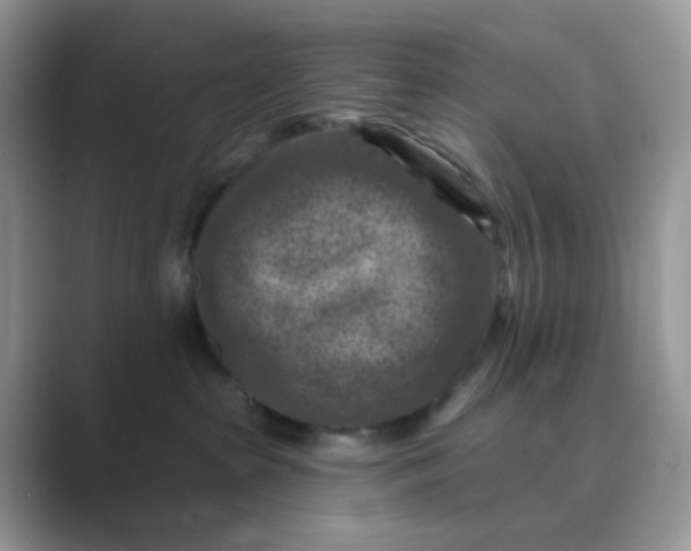 X0000089680285200707051612