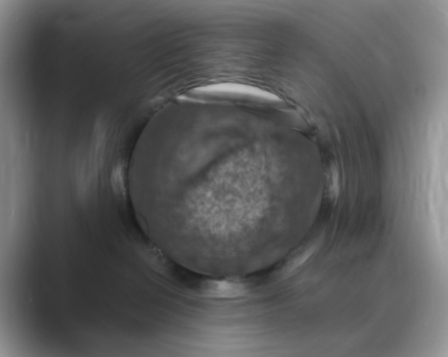 X0000089680286200707051612