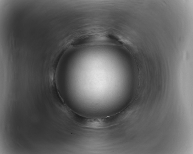 X0000089680288200707051612