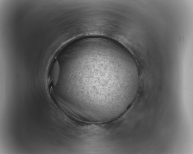X0000089680290200707051612