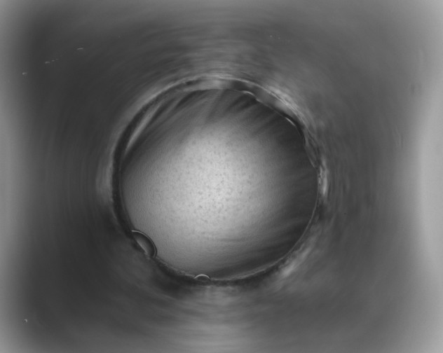 X0000089680292200707051612